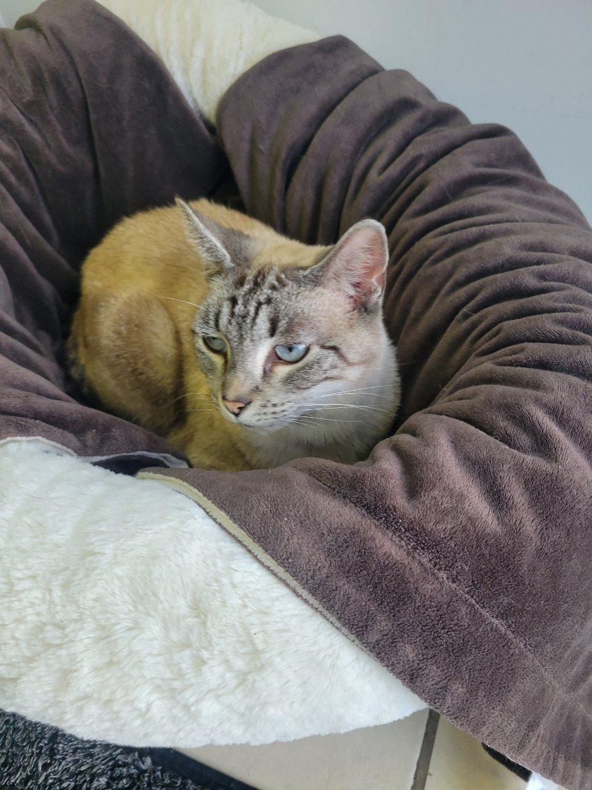 MIRA — thumbnail 2