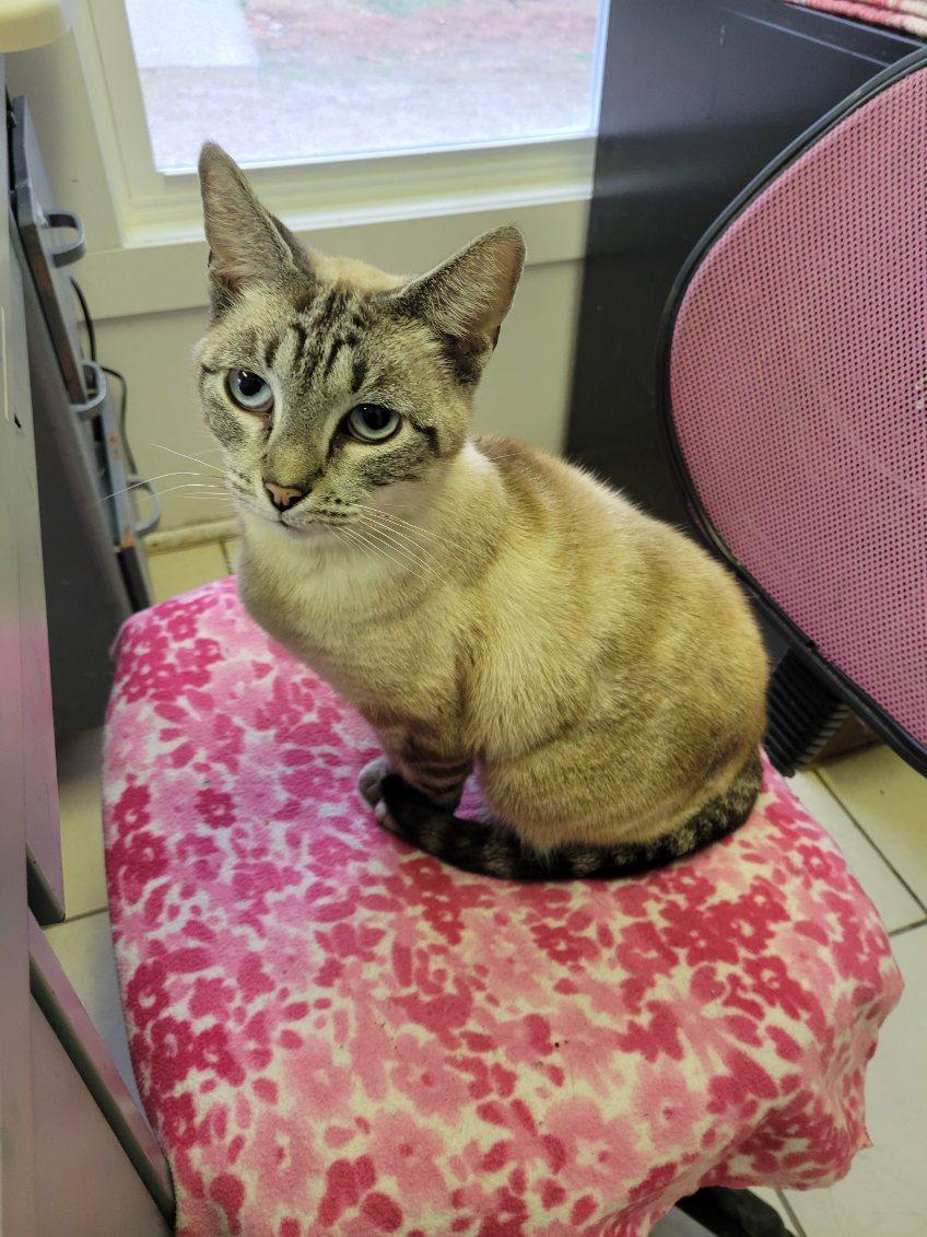 MIRA — thumbnail 6