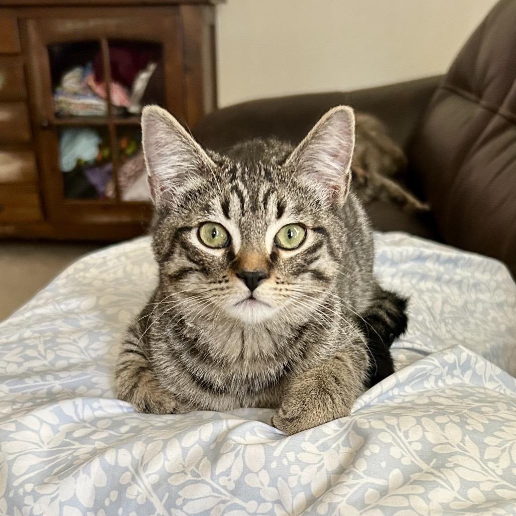 Rootbeer - Rooty LaGiglia — thumbnail 2