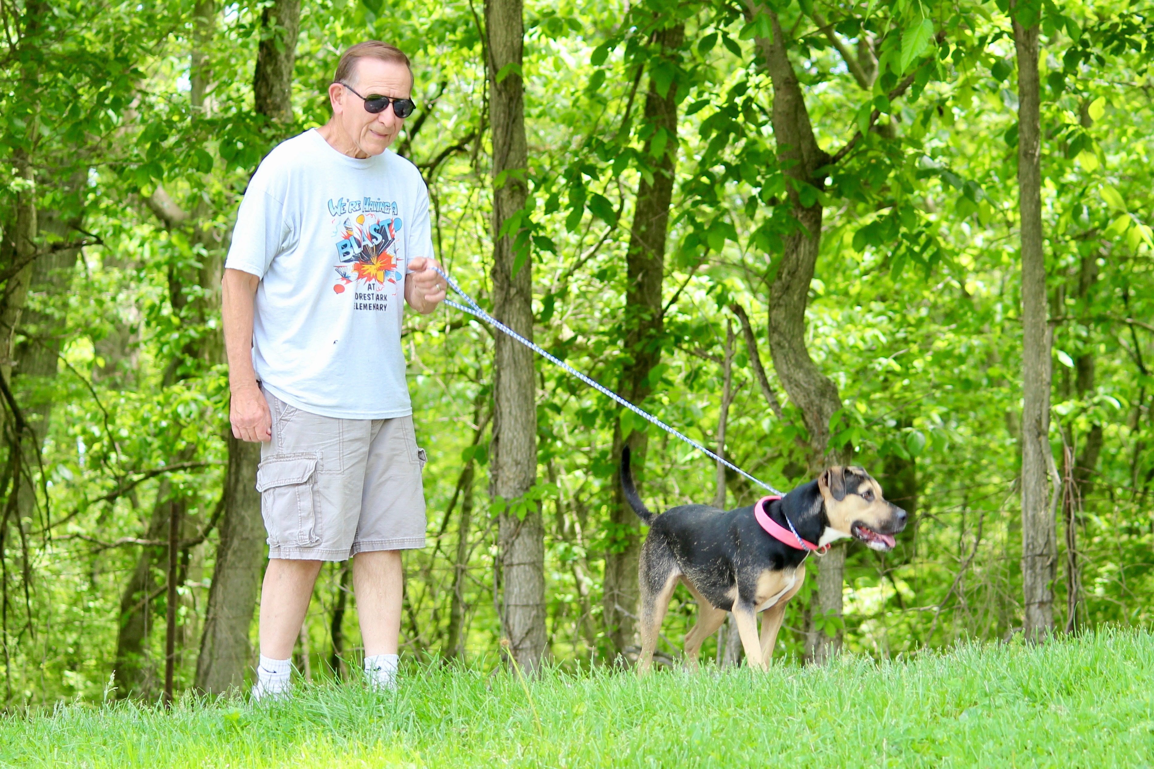 SANTANA, a Adoptable mixed breed in Brazil, IN image 5/12