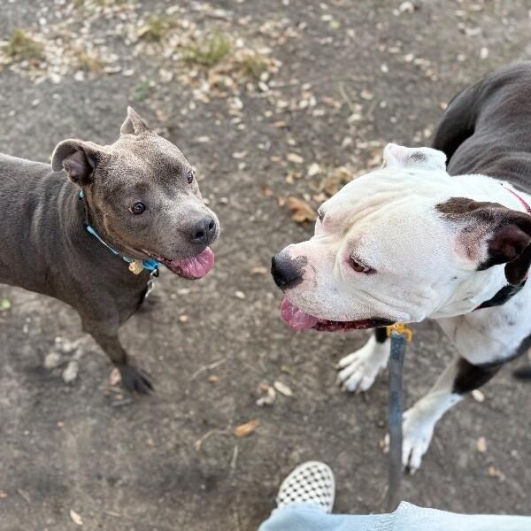 Cinder Ella Wiggle Bug Wonderful Water Girl