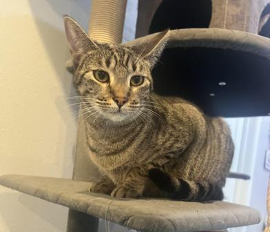 Enza — thumbnail 2