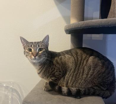 Enza — thumbnail 3