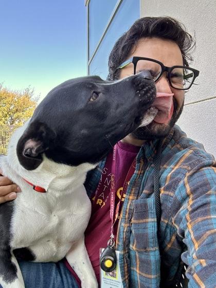 Enlarge Prince, a Adoptable mixed breed in Wichita, KS image 4/4