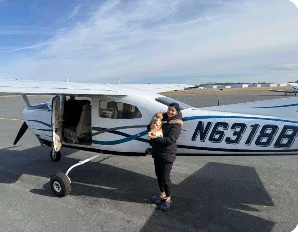 Oro, a Adoptable Domestic Short Hair in North Myrtle Beach, SC image 4/5