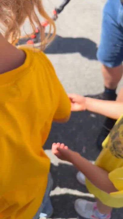 Enlarge Linus- petite and affectionate , a Adoptable mixed breed in Irvine, CA video 6/6