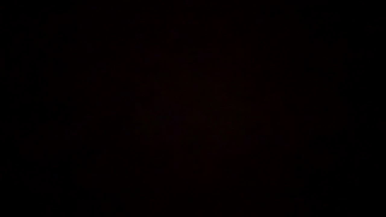 Enlarge Foxy and Squirrel, an adopted Domestic Medium Hair in Wellesley, MA video 4/6