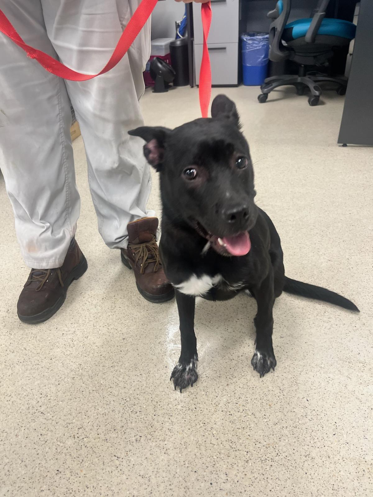 Buoy (ID 49241/3899)