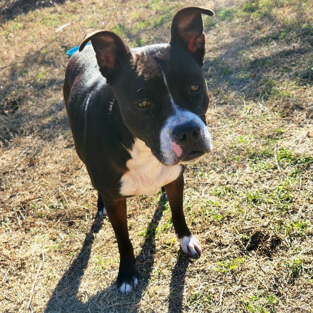 Lily — thumbnail 3