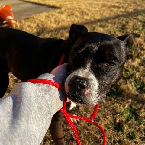 Lily — thumbnail 4