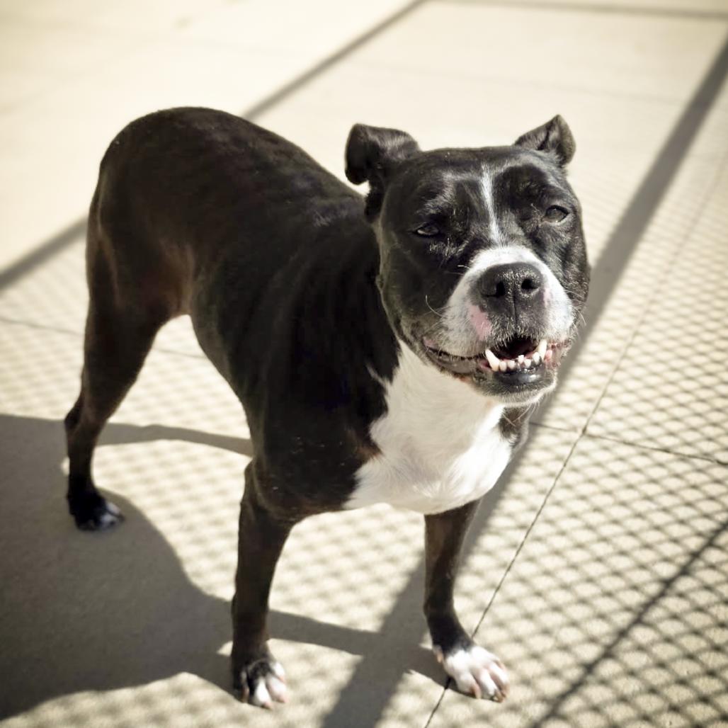 Lily — thumbnail 6