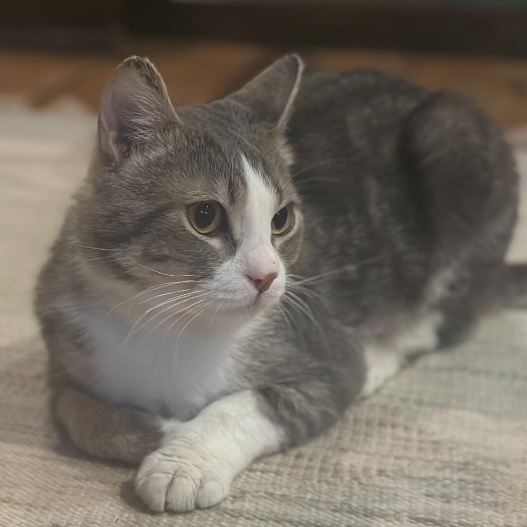 Tomothy — thumbnail 2