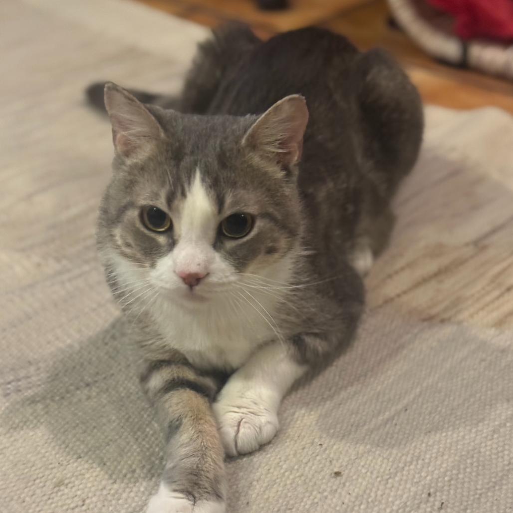 Tomothy — thumbnail 3