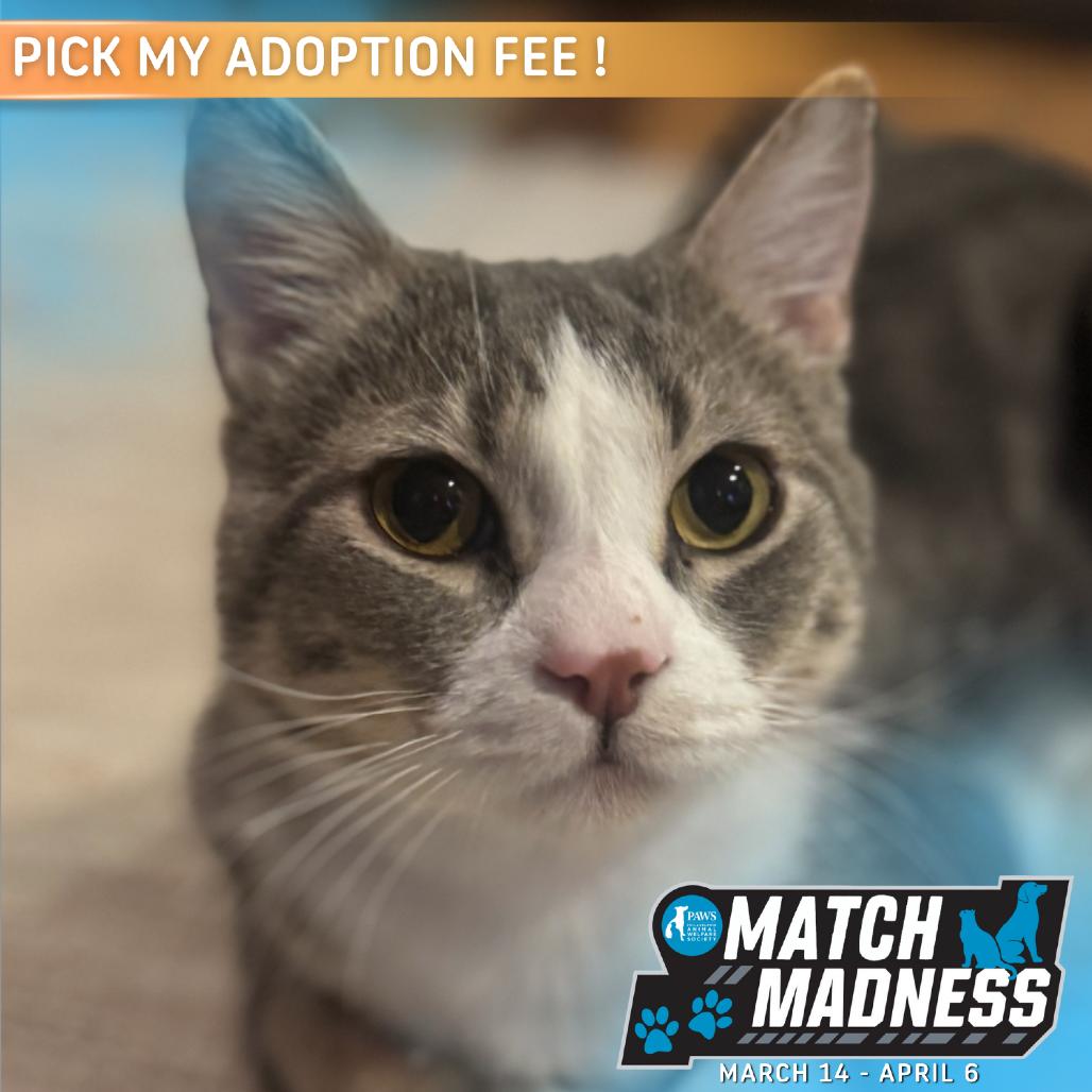 Tomothy — thumbnail 5