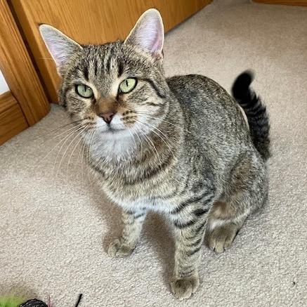 Honey — thumbnail 2