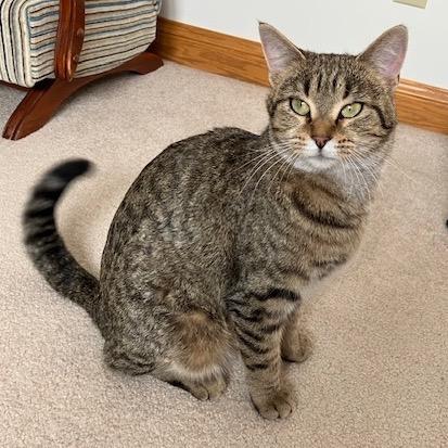 Honey — thumbnail 4