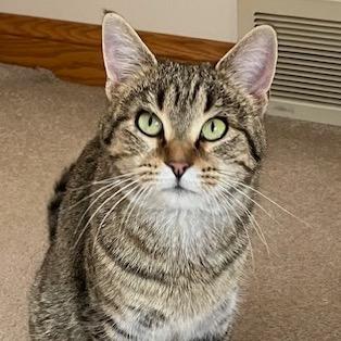 Honey — thumbnail 6