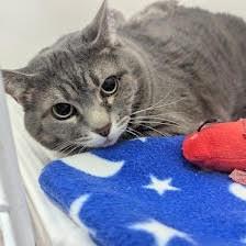 Lucy — thumbnail 2