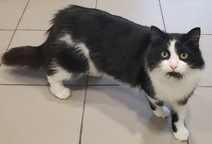 Garrison 80 — thumbnail 3