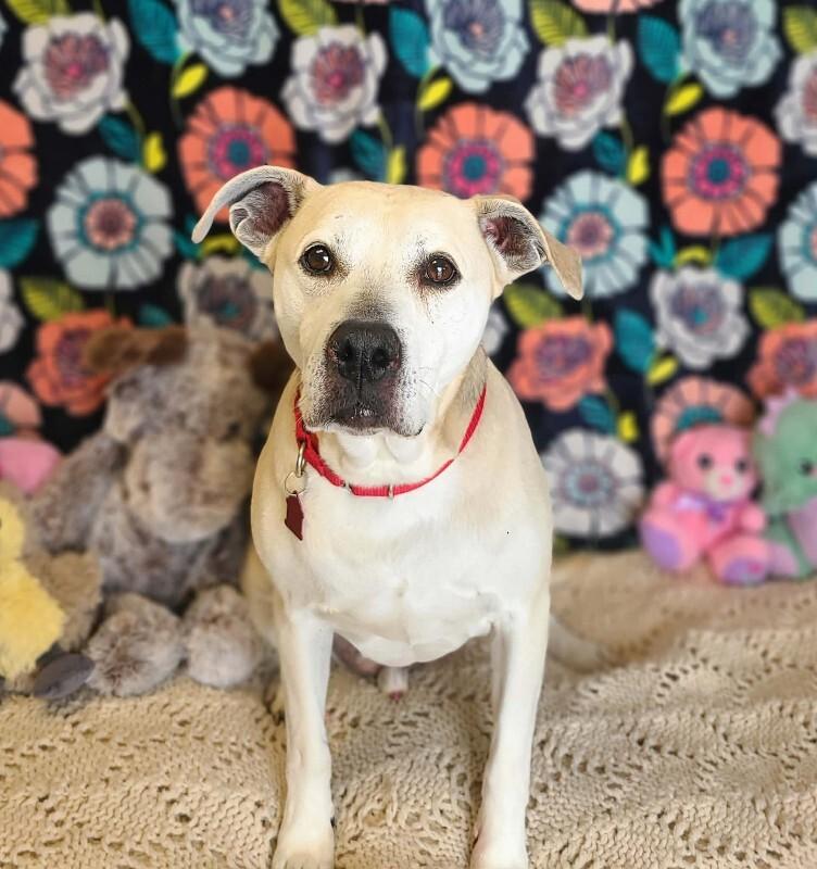 Bradley — thumbnail 5