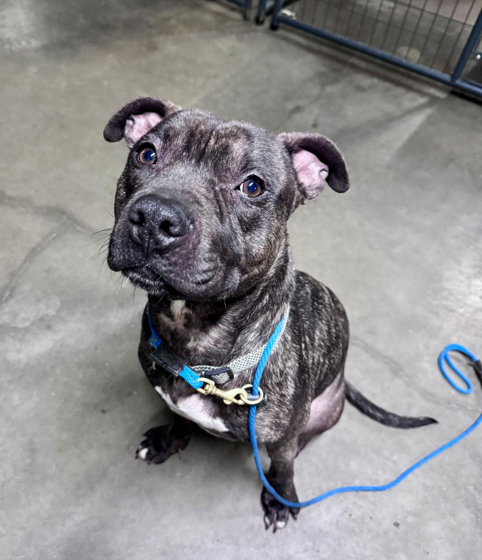 Walter — thumbnail 2