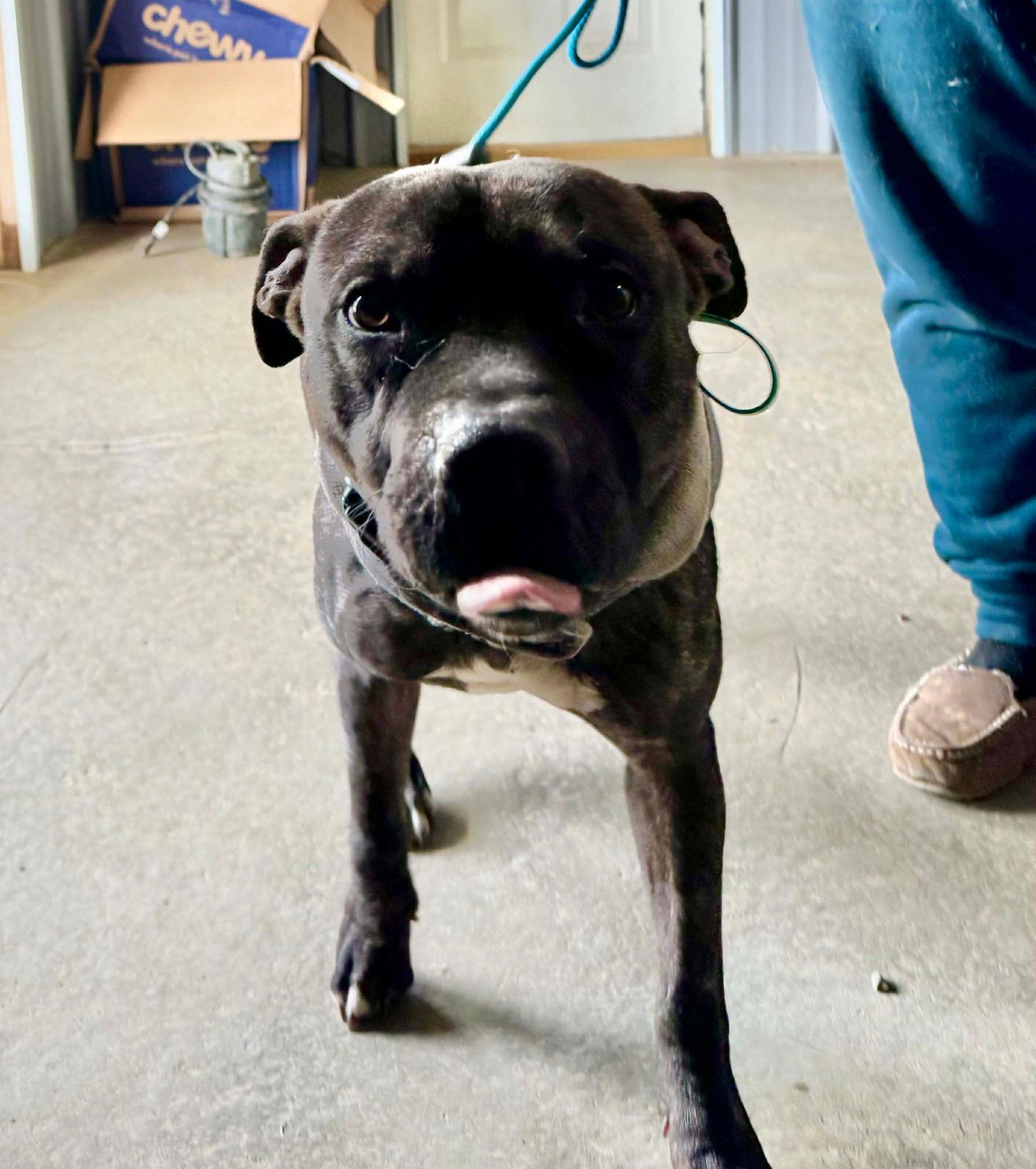 Walter — thumbnail 3