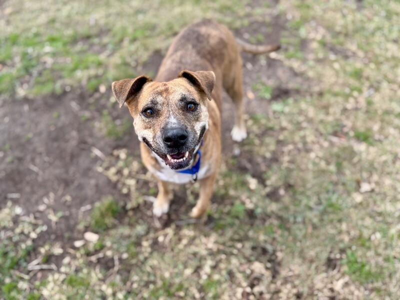 Rita Fajita Homebody Cutie — thumbnail 2