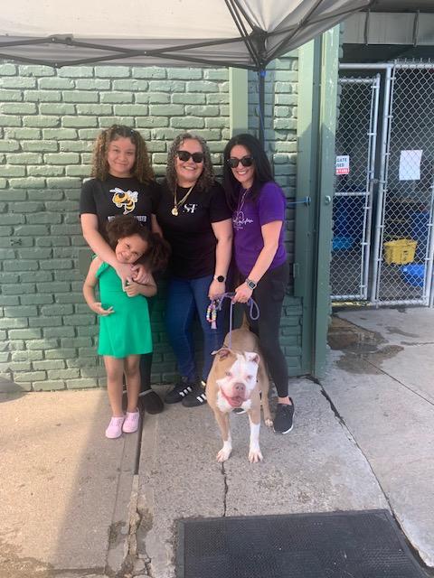 Khloe, a Adopted mixed breed in Lyndhurst, NJ image 5/6