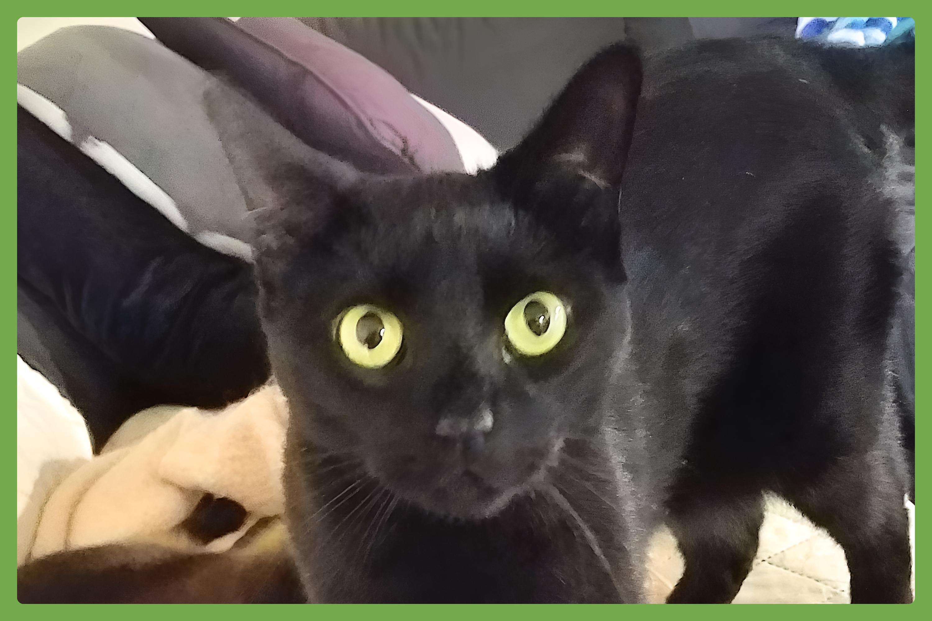 Barry — thumbnail 5