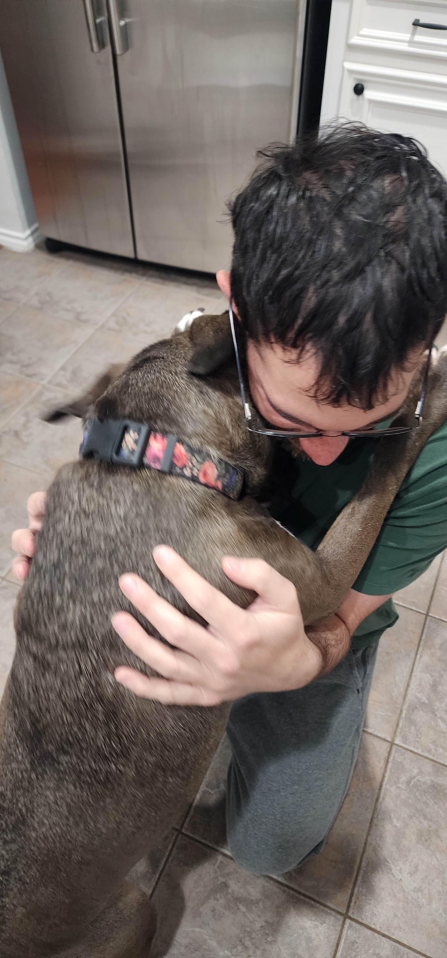 Enlarge Maple, a Adopted mixed breed in Houston, TX image 4/6