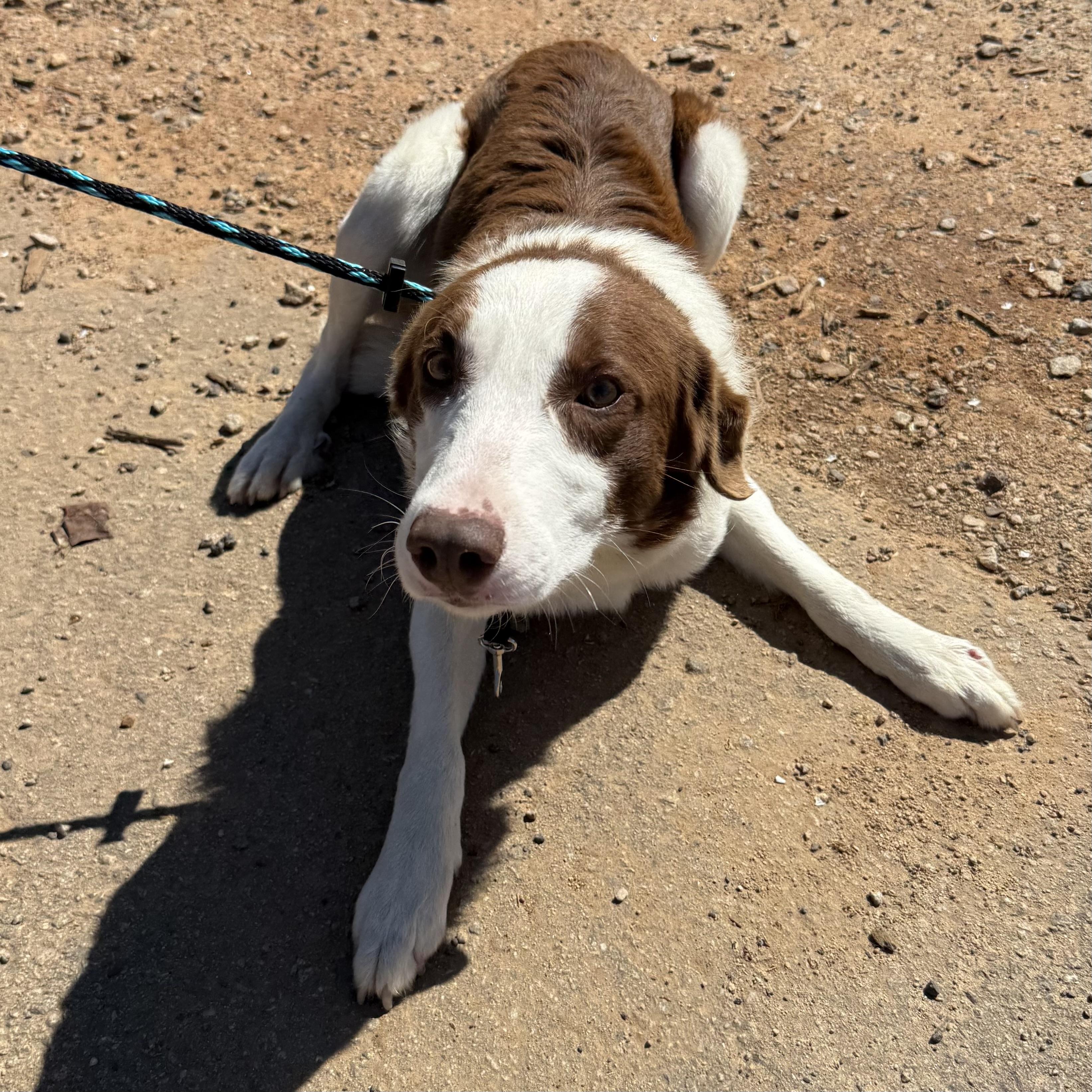 Beacon — thumbnail 5