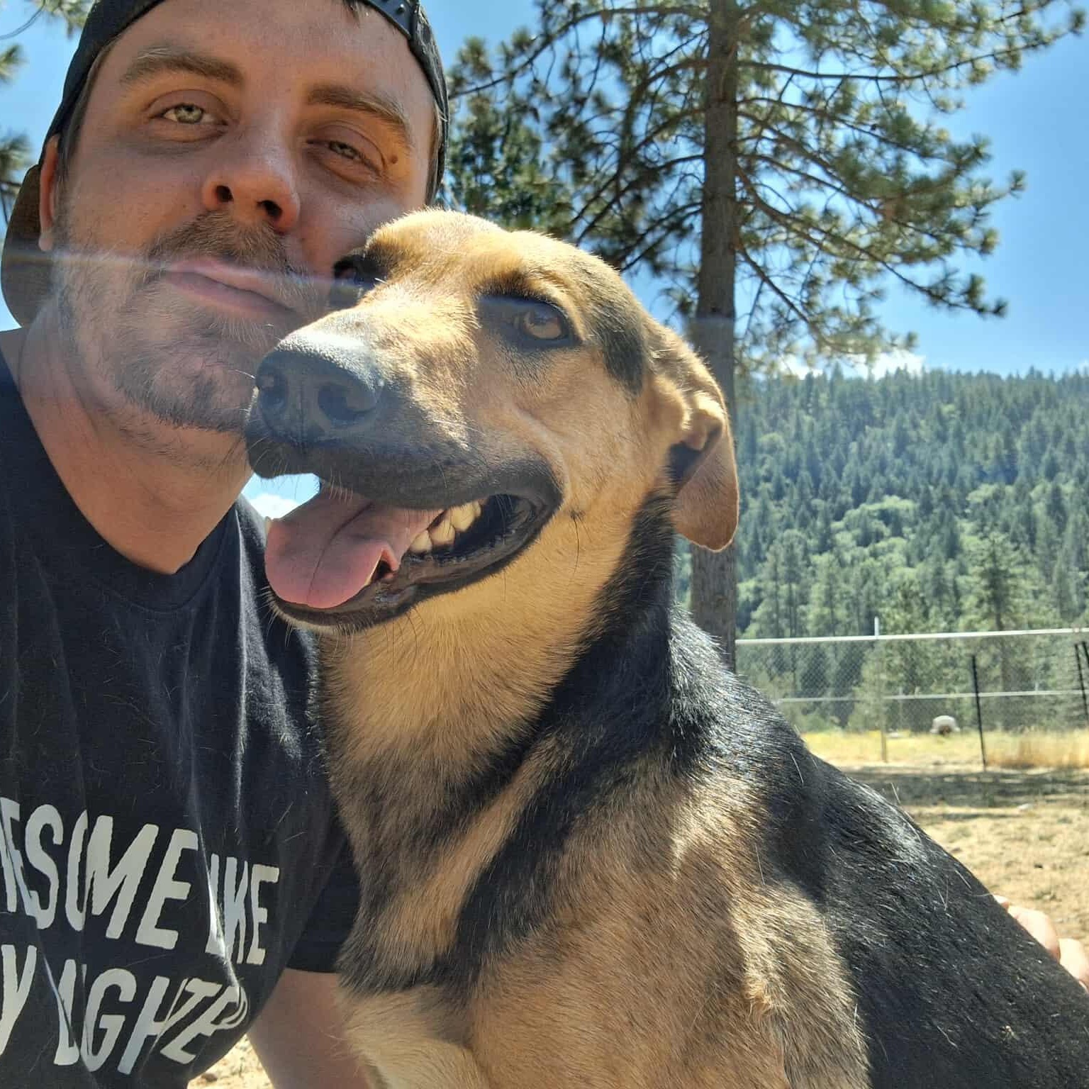 Rocket, a Adoptable mixed breed in Weaverville, CA image 2/4