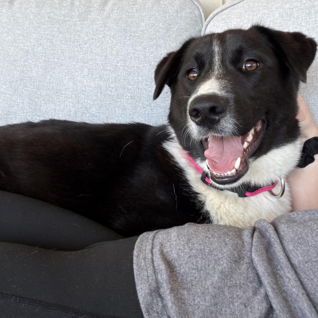 Jazz — thumbnail 3