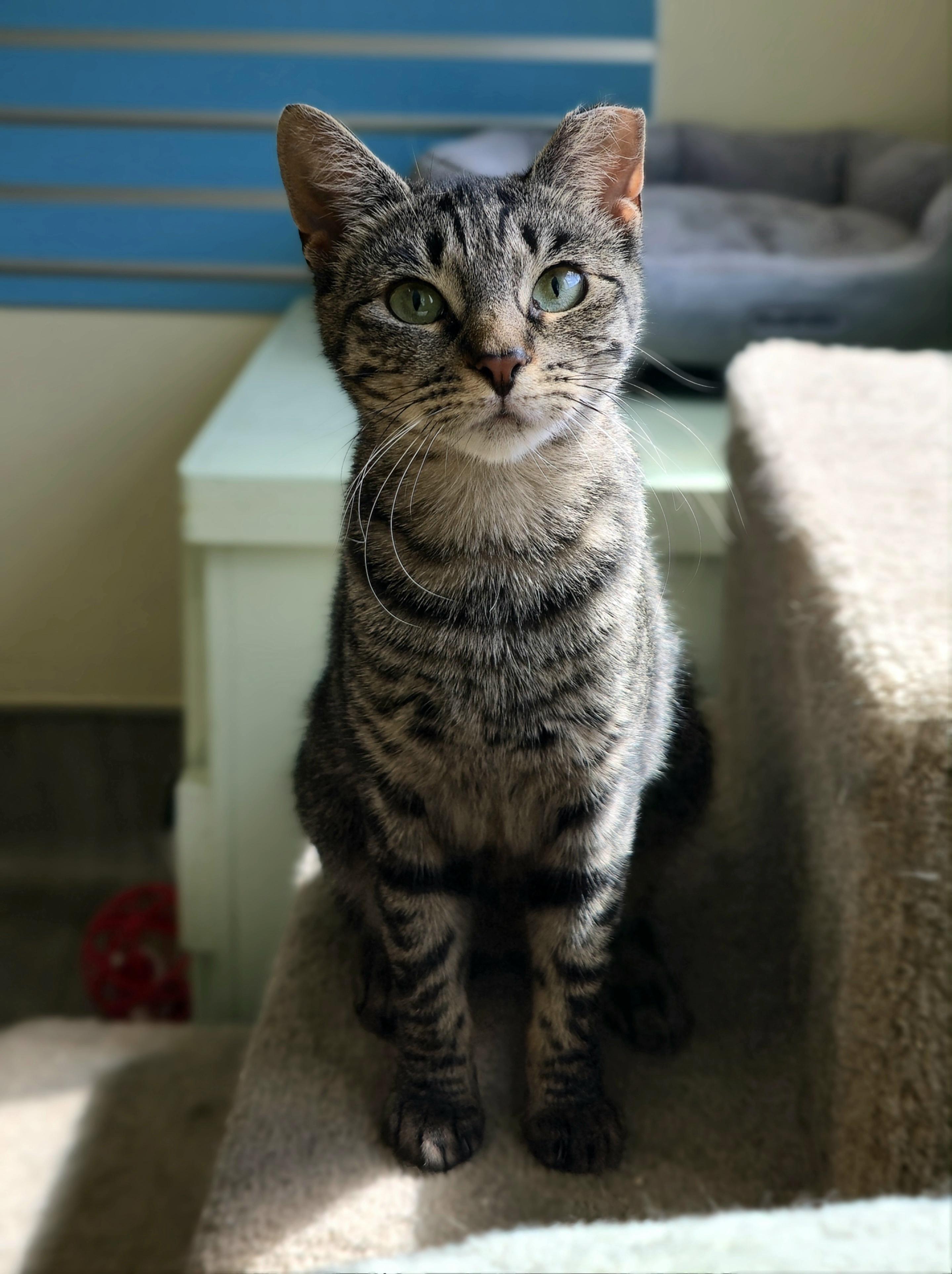Cinder