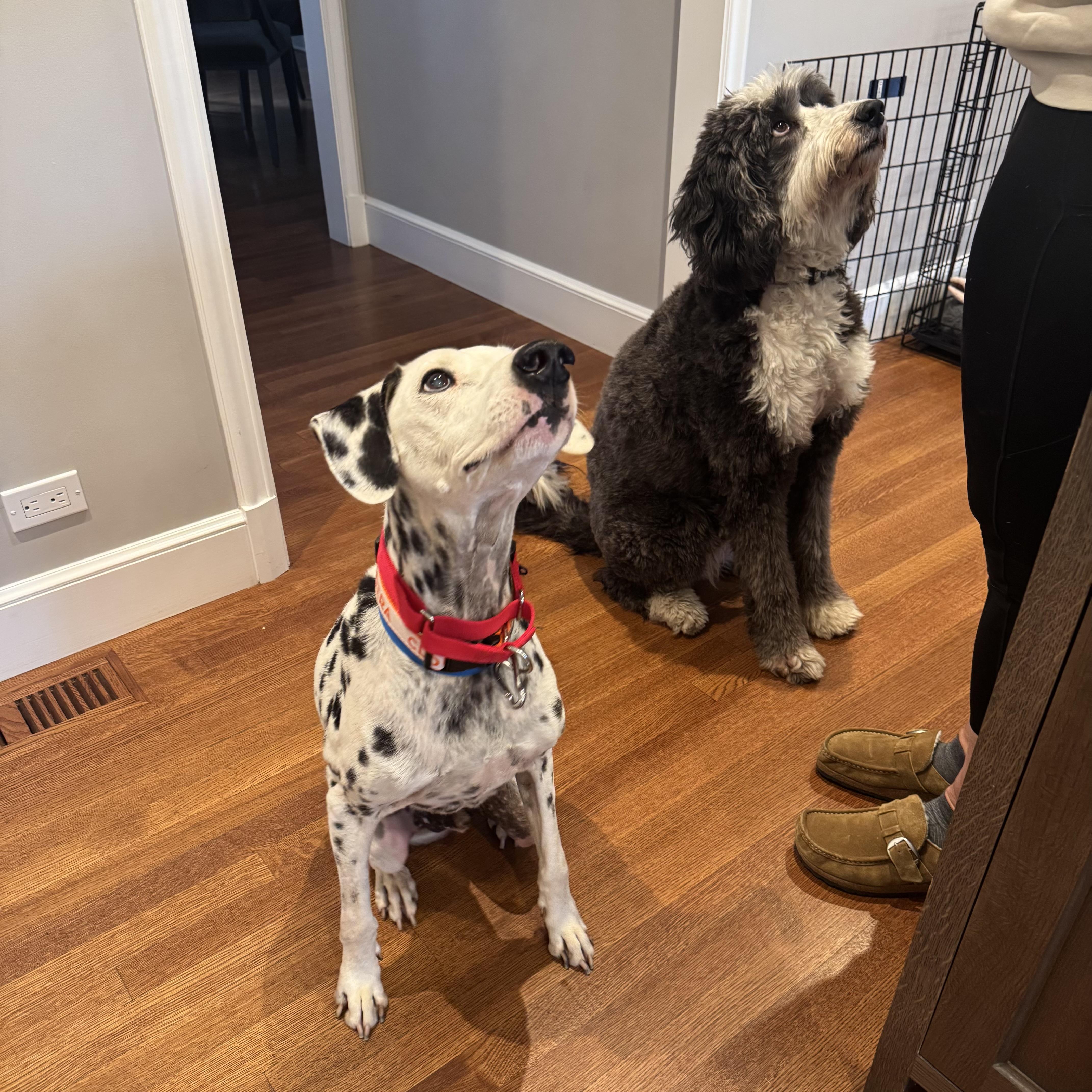 Aprèsski thumbnail 5