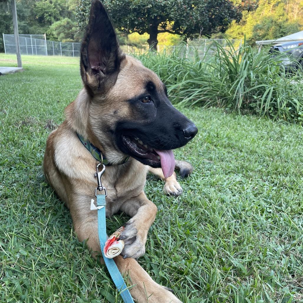 Gracie Lou