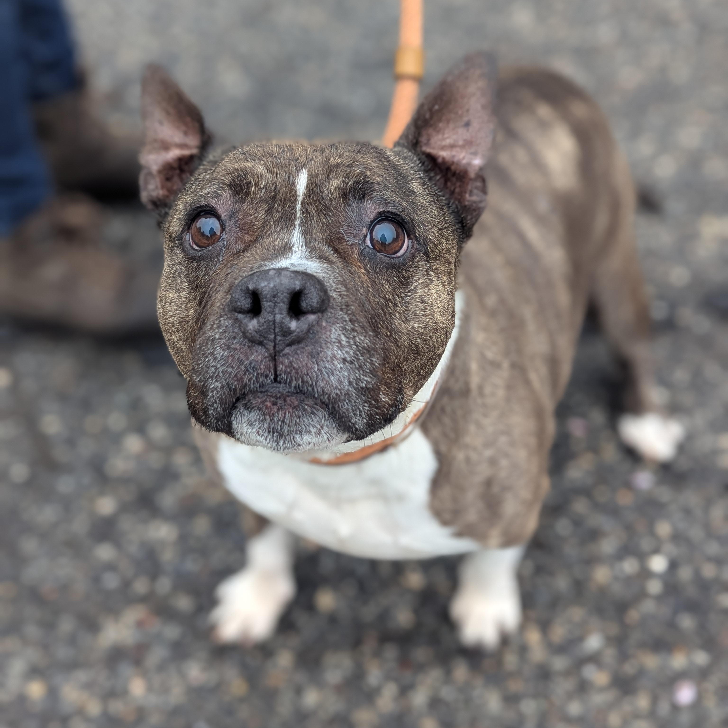 Cutie Pie thumbnail 3