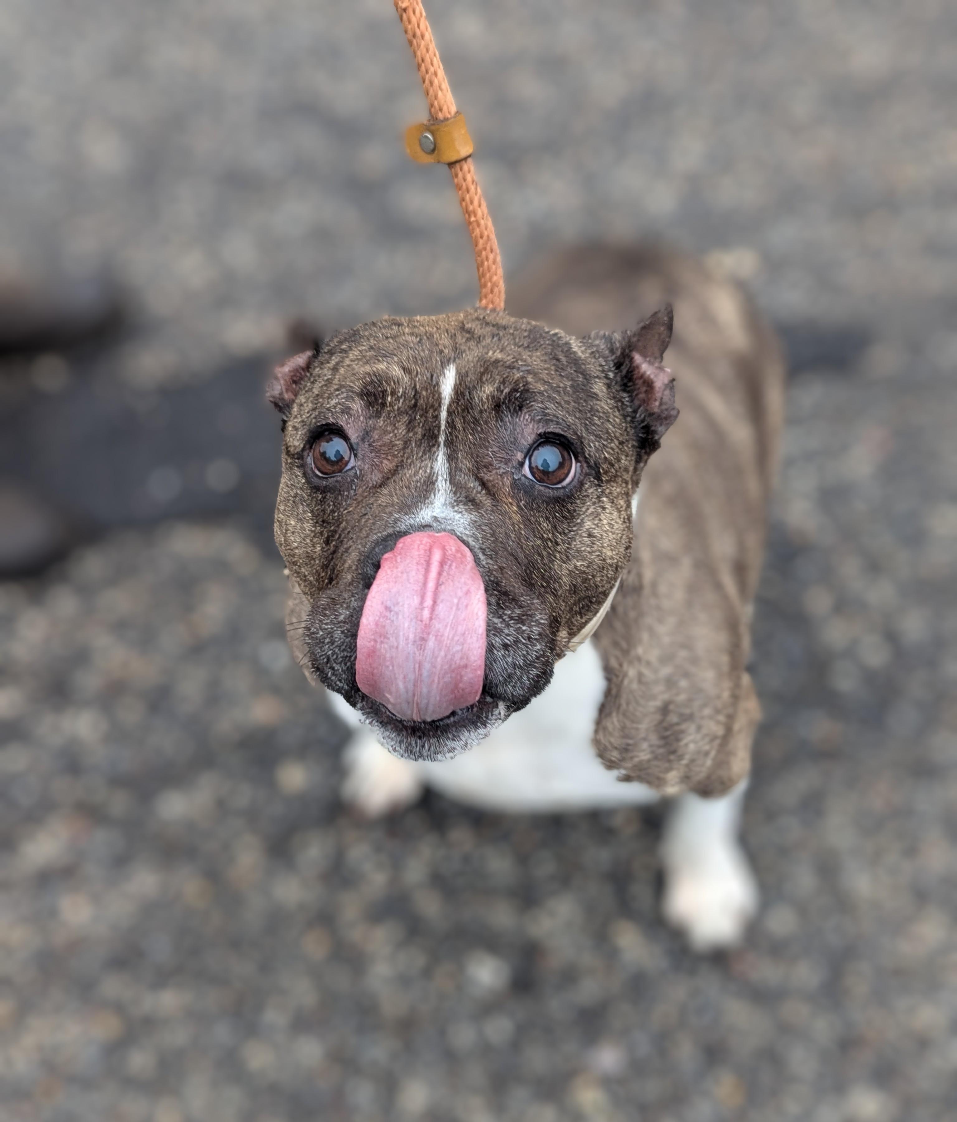 Cutie Pie thumbnail 2