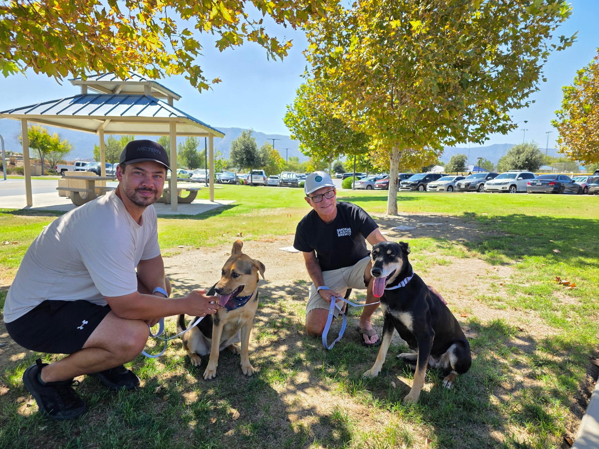 Enlarge Doris, a Adopted mixed breed in Menifee, CA image 6/6