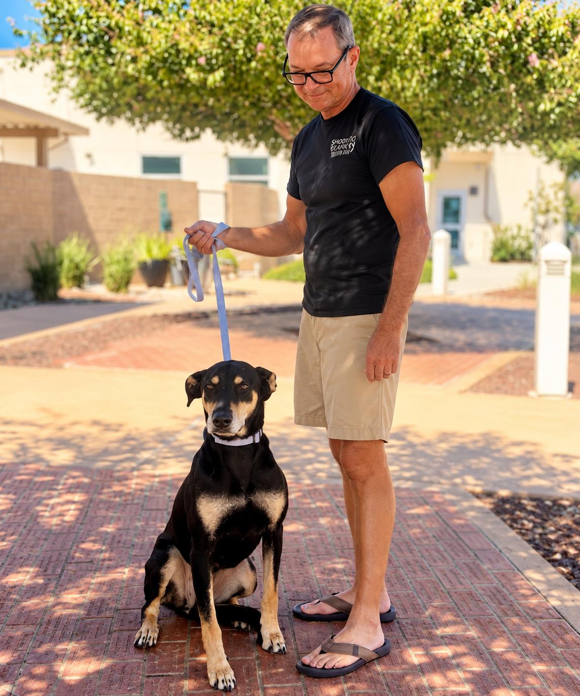Enlarge Doris, a Adopted mixed breed in Menifee, CA image 4/6