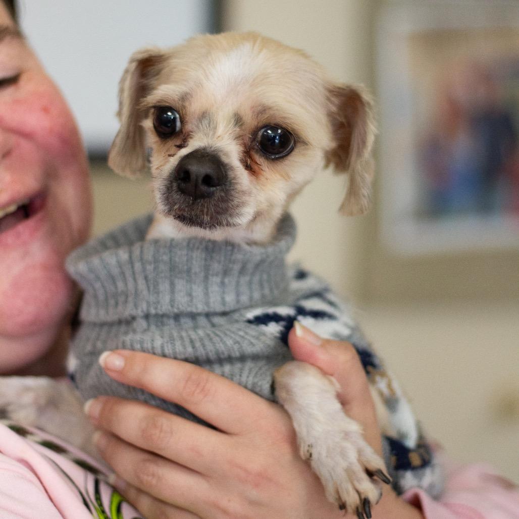 Princeton 22093 — thumbnail 2