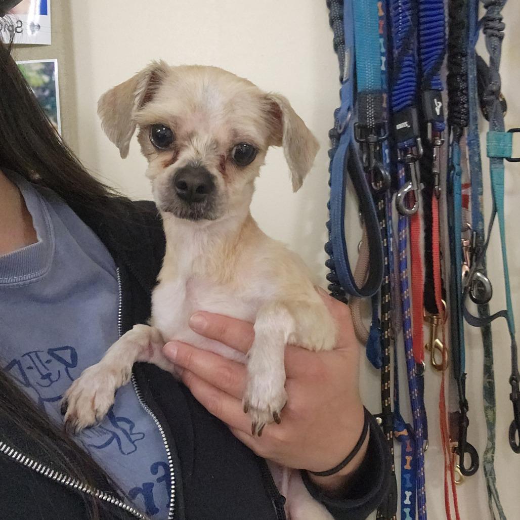 Princeton 22093 — thumbnail 4