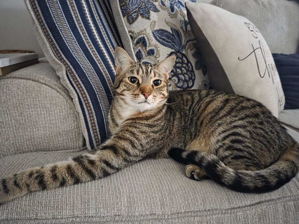 Leo