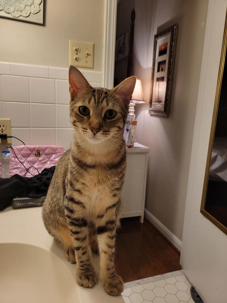 Leo