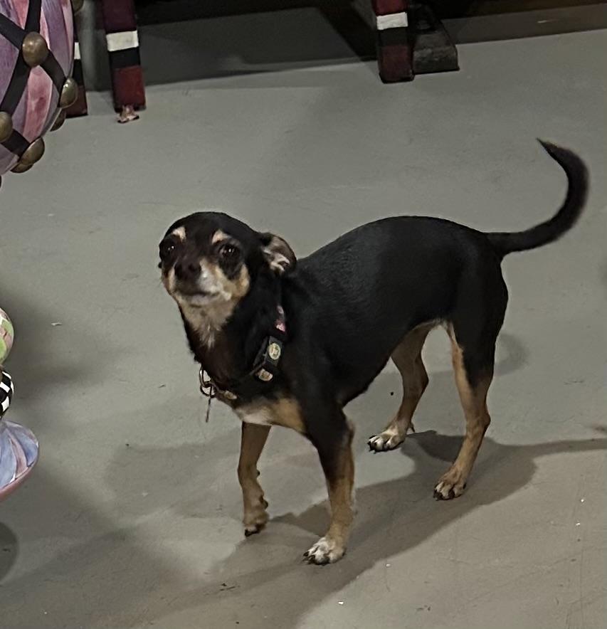 Elliot