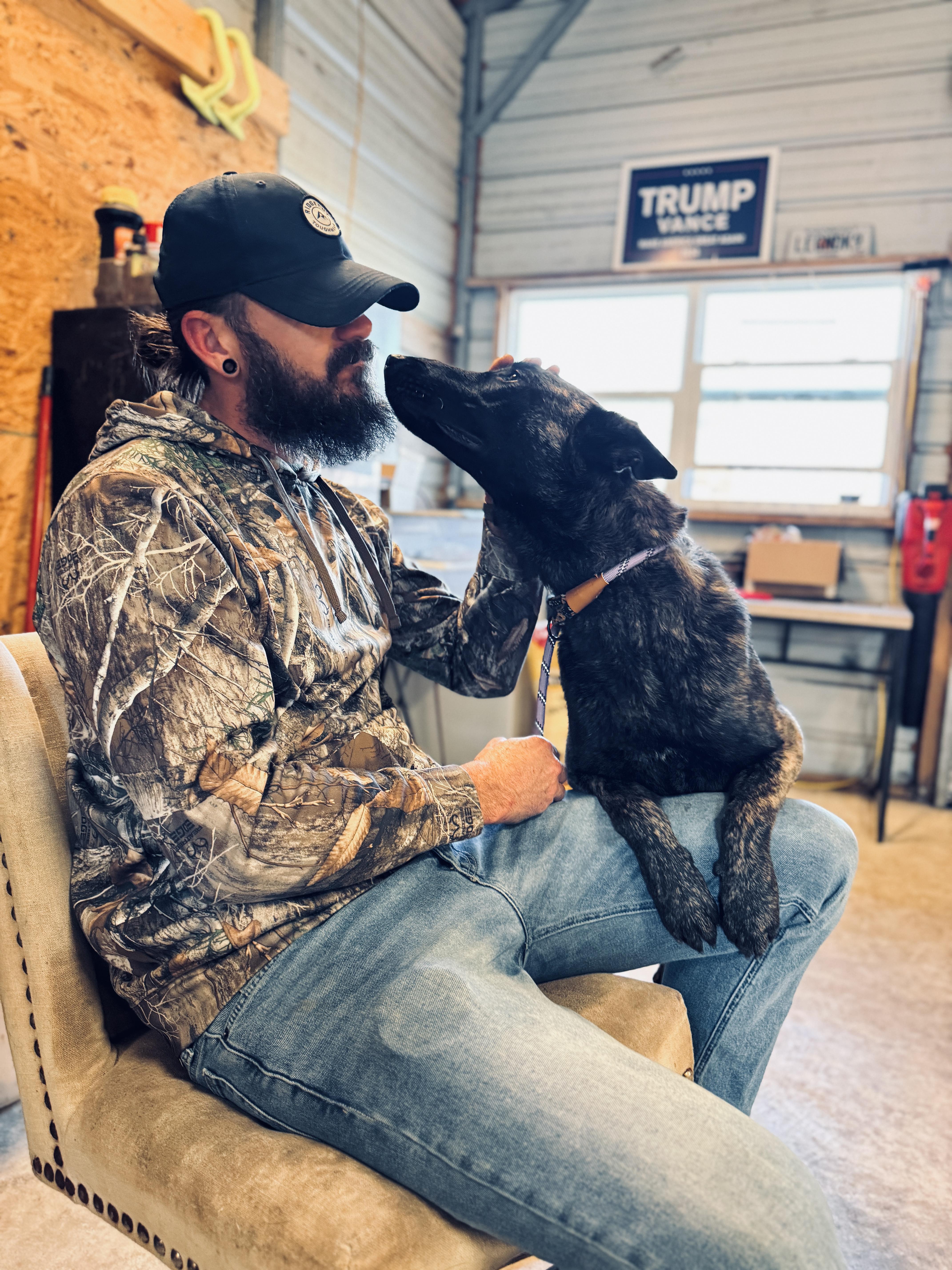 Chief , a Adoptable Dutch Shepherd in SYLVANIA, GA image 6/6