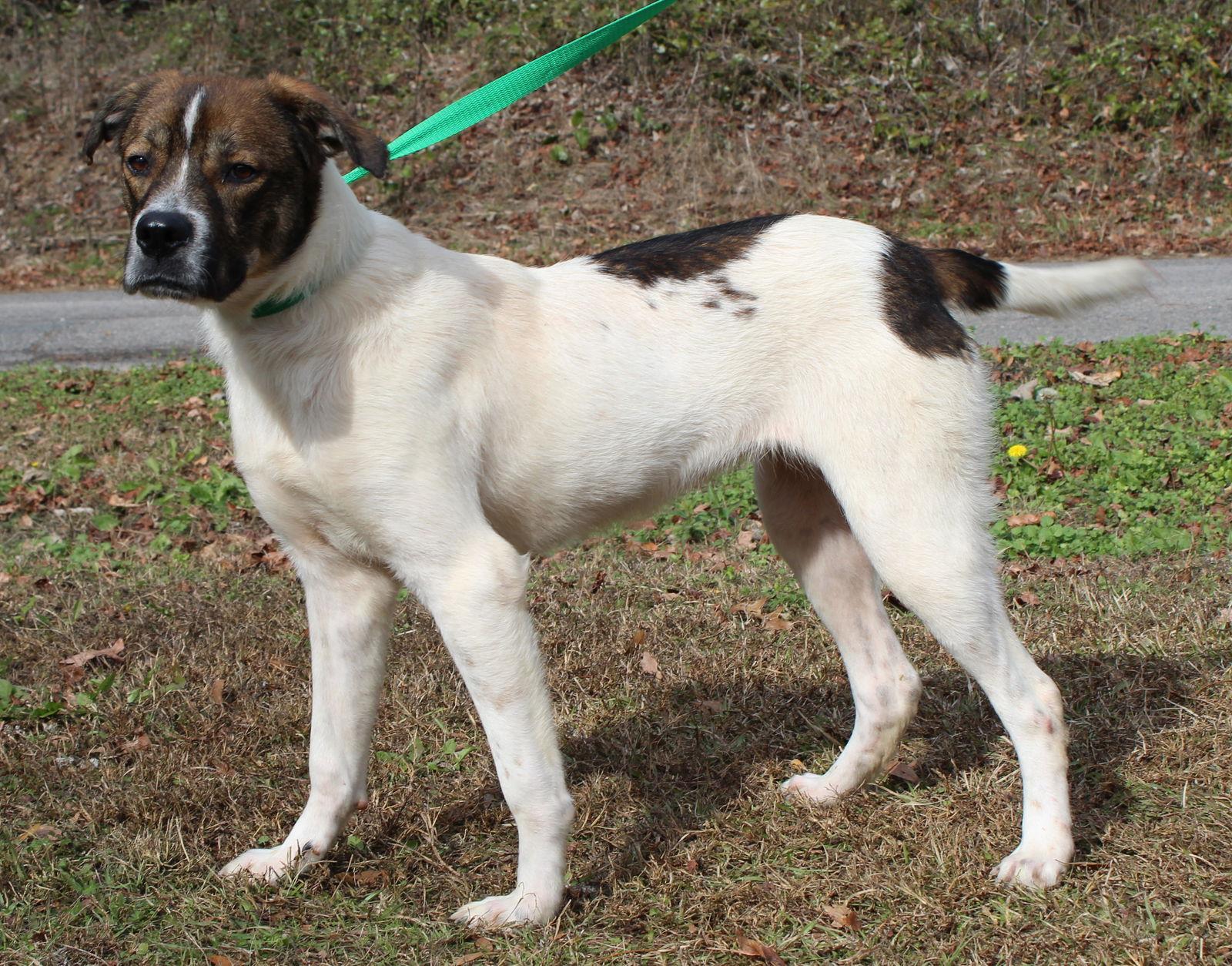 Sandra D thumbnail 3