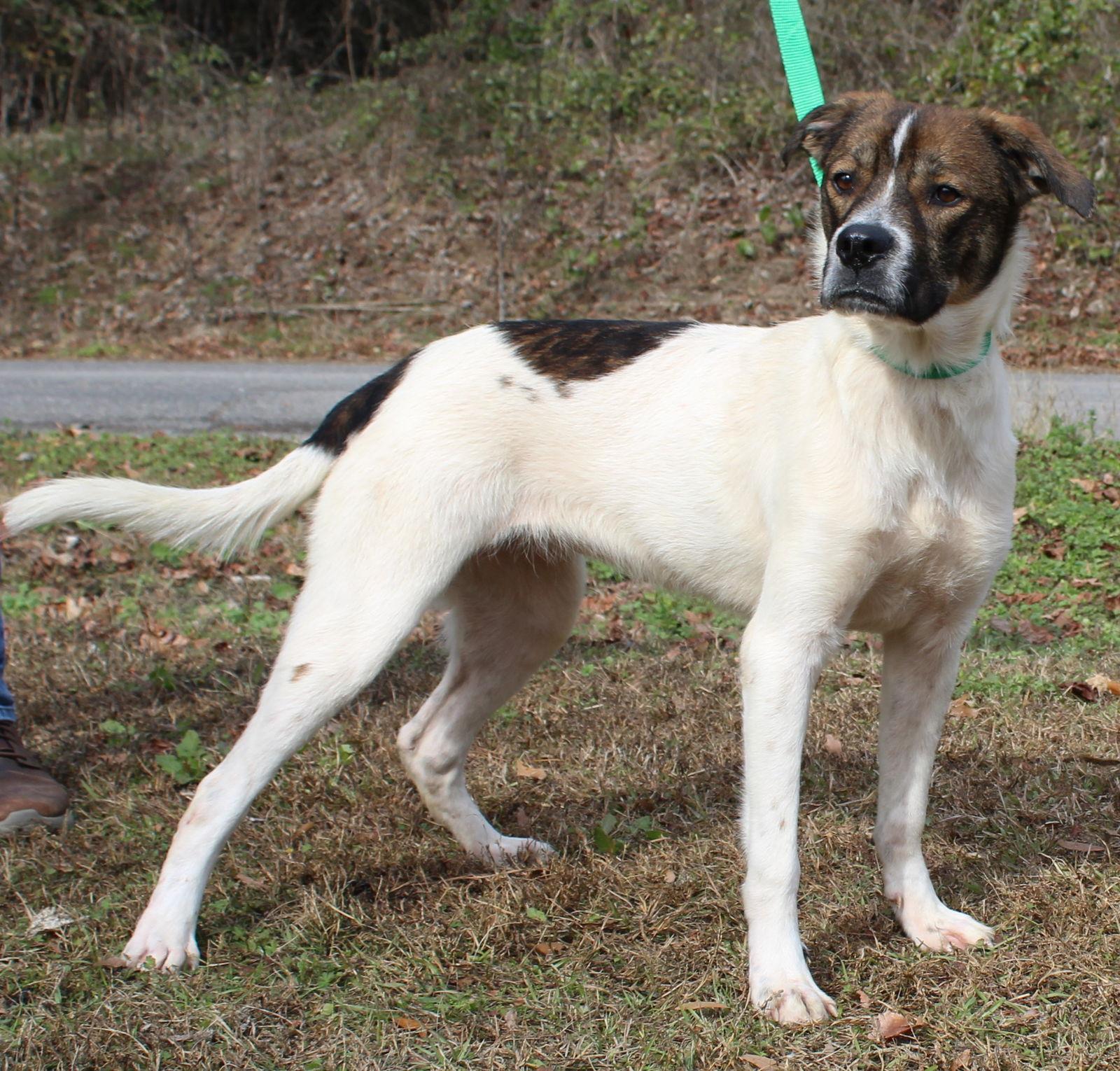 Sandra D thumbnail 4