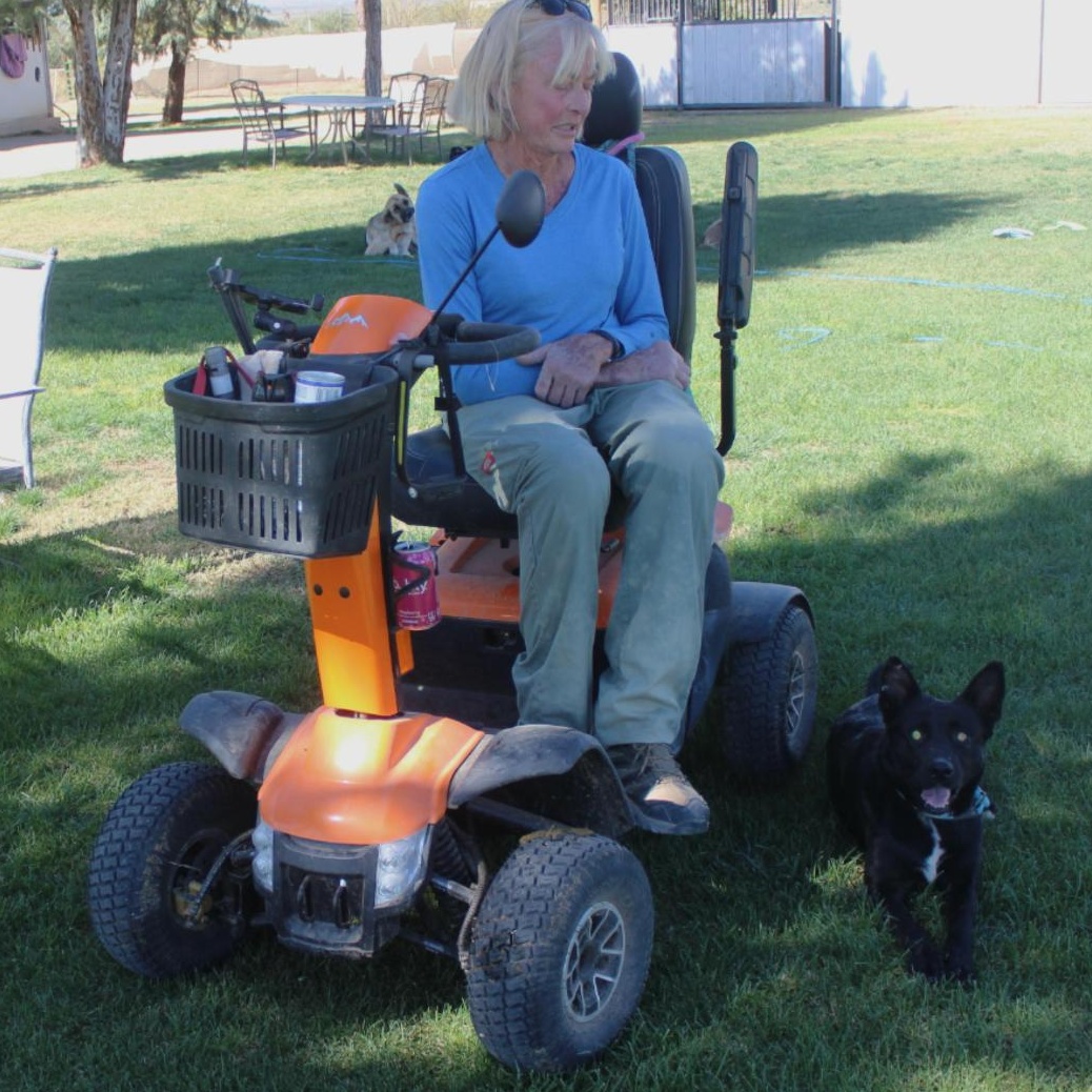 WALLIE, an adoptable German Shepherd Dog in Pearce, AZ, 85625 | Photo Image 5