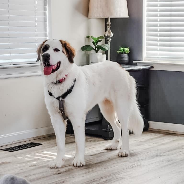 Pamela **COURTESY POST**